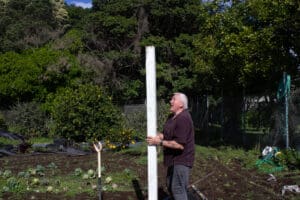 impact of volunteering